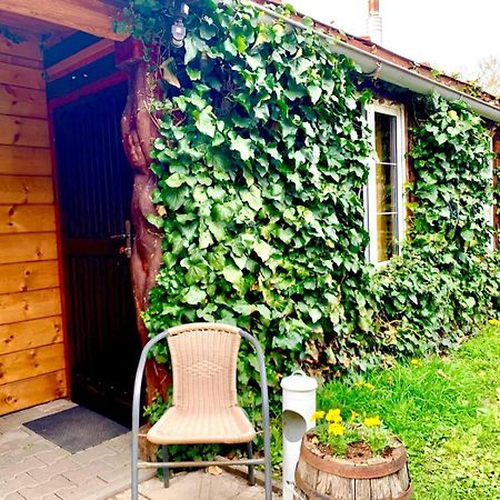 Dovolenkovy Dom Ela Pets Friendly Appartement Poprad Buitenkant foto